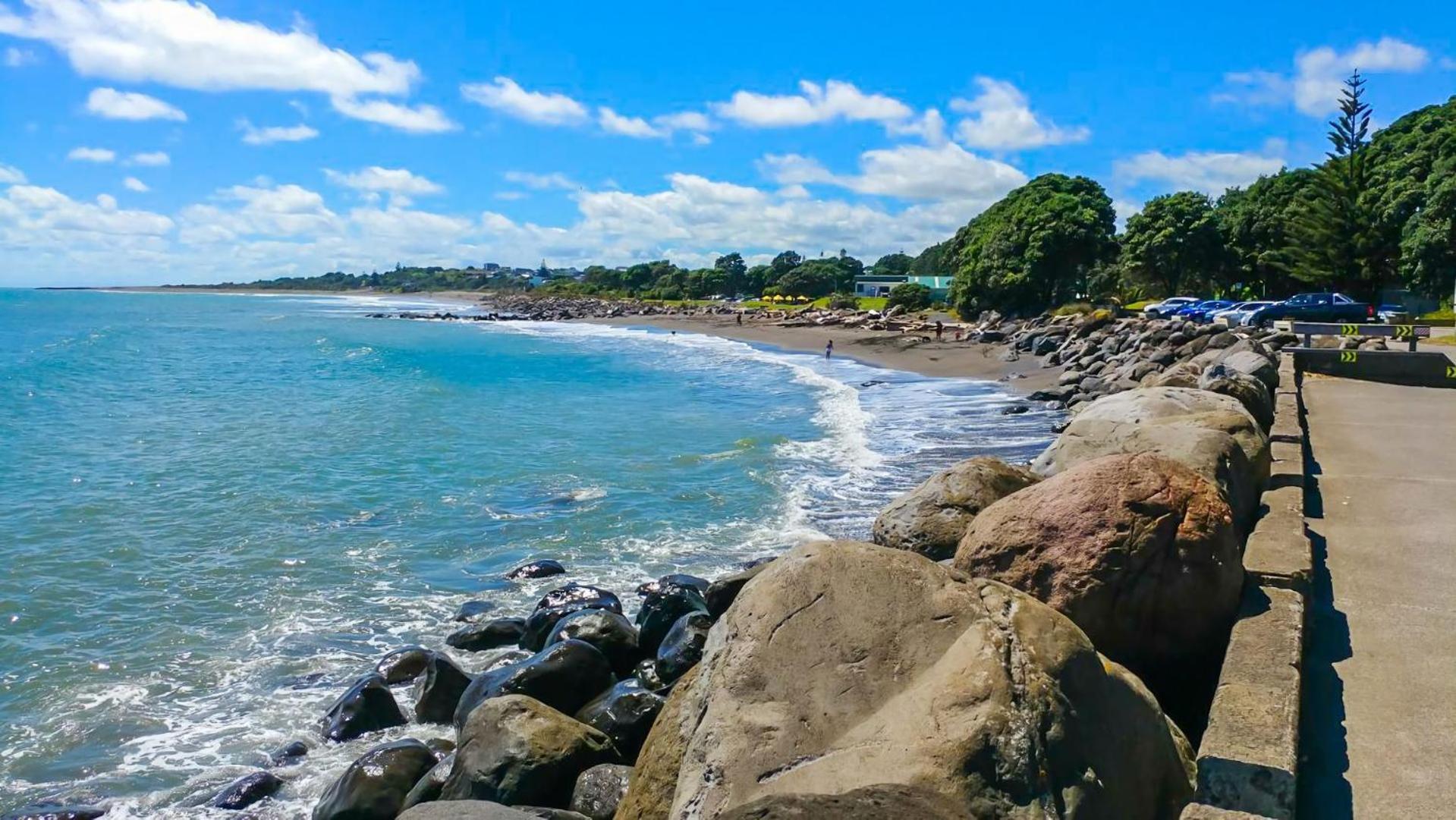 Sunny Ark Apartment New Plymouth Bagian luar foto